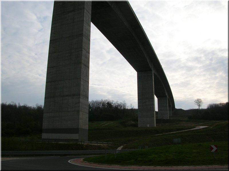 DSCN9702.JPG