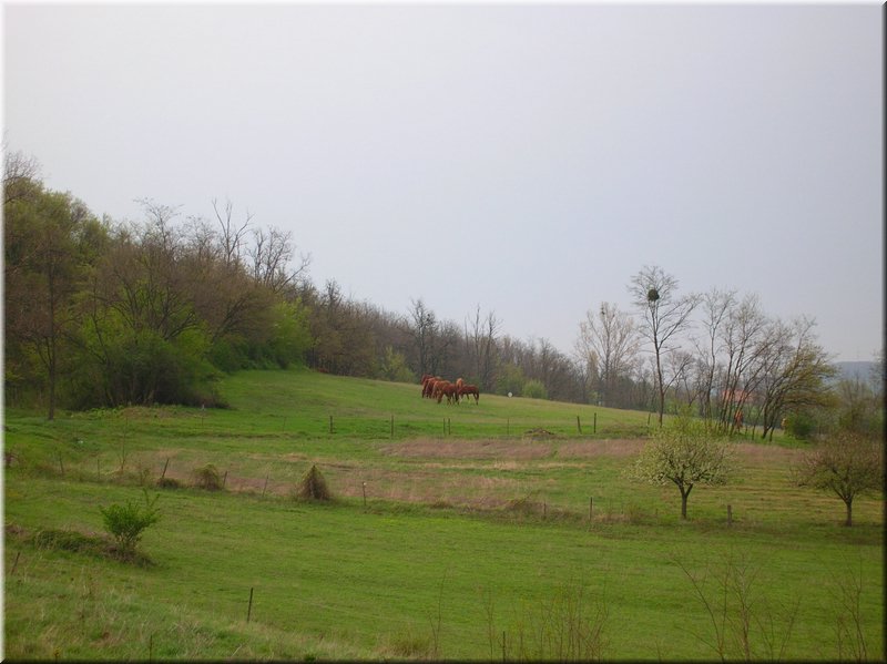DSCN9724.JPG