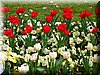 DSCN9731.JPG