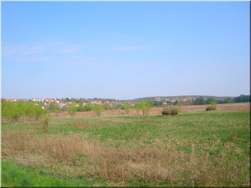 DSCN9755.JPG