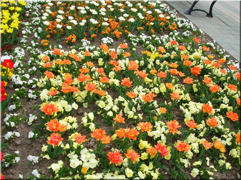 DSCN9757.JPG
