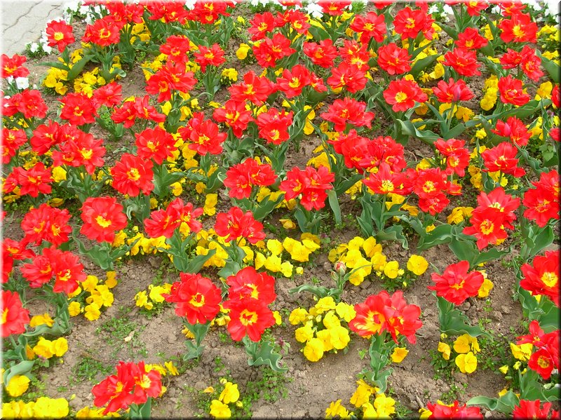 DSCN9758.JPG