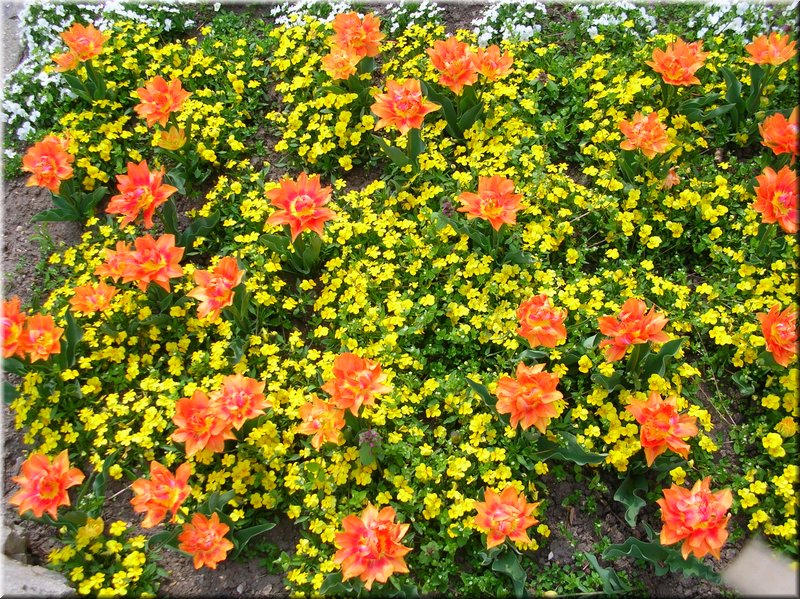 DSCN9768.JPG