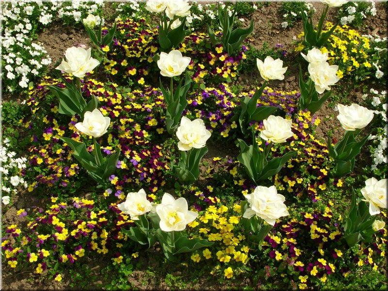 DSCN9769.JPG