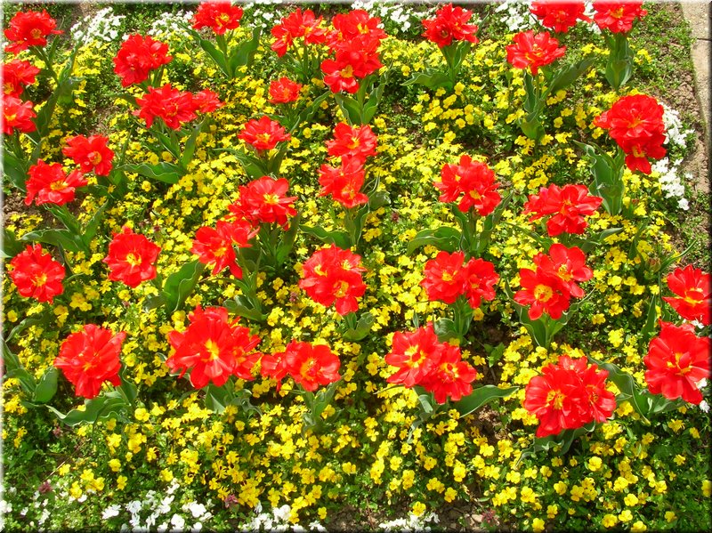 DSCN9770.JPG