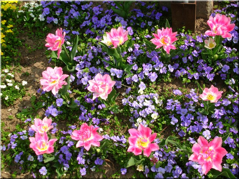 DSCN9774.JPG