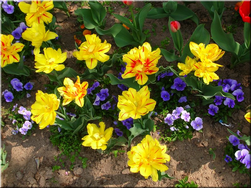 DSCN9777.JPG
