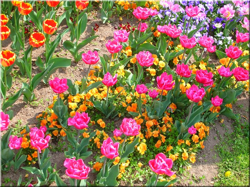 DSCN9779.JPG