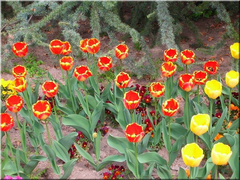 DSCN9784.JPG