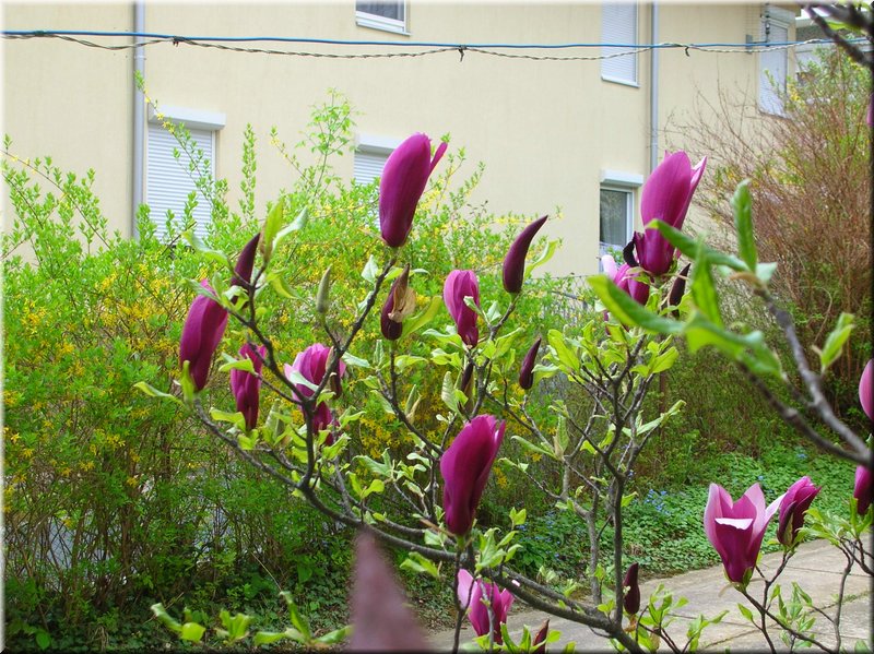 DSCN9794.JPG