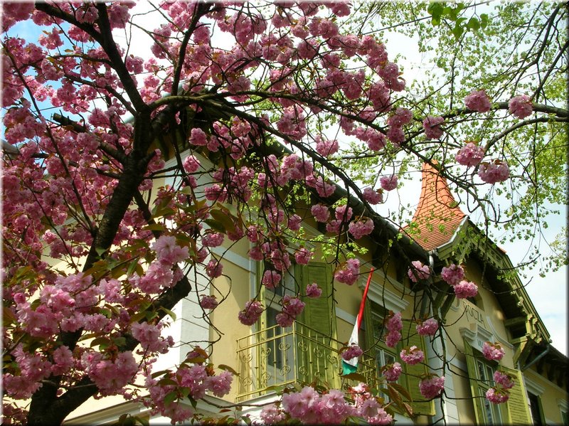 DSCN9797.JPG