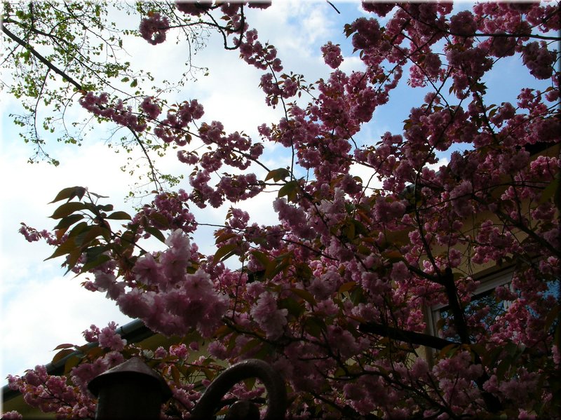 DSCN9798.JPG