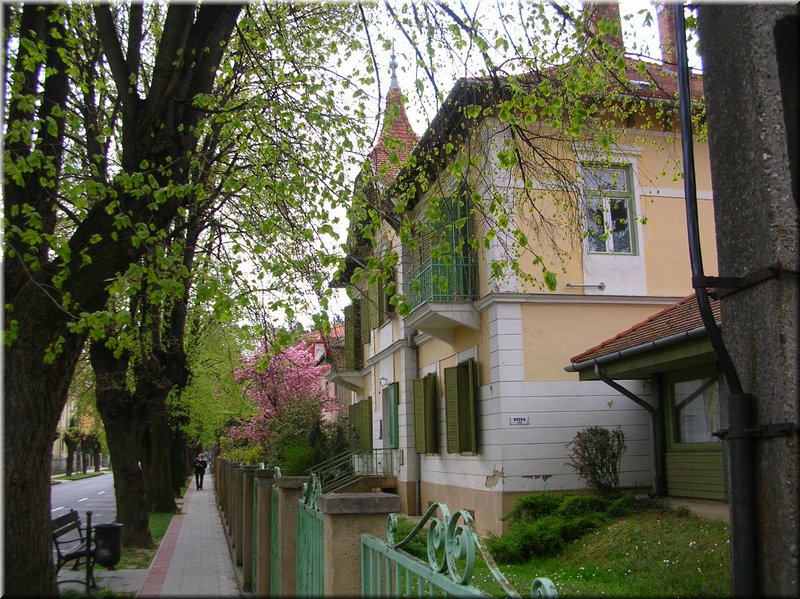 DSCN9801.JPG