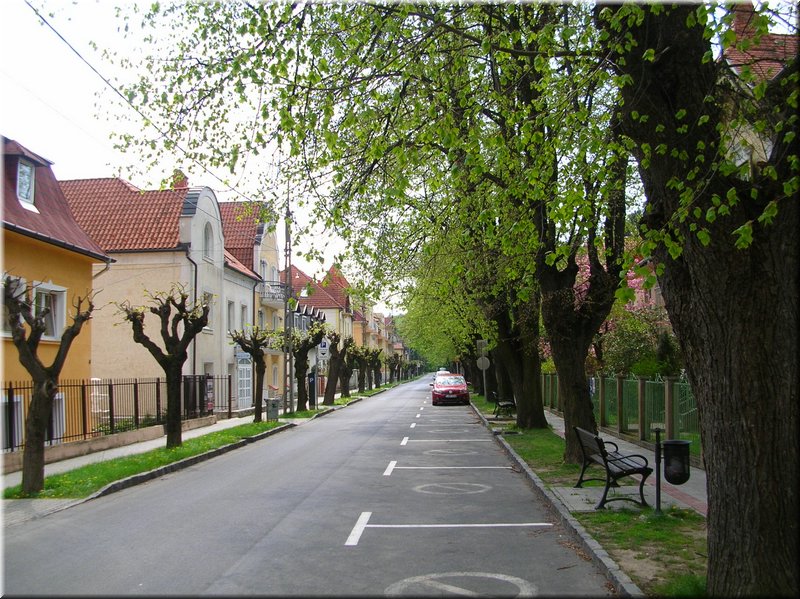 DSCN9802.JPG