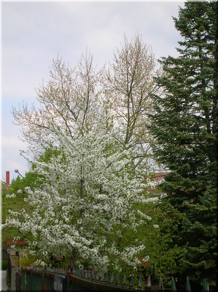DSCN9805.jpg