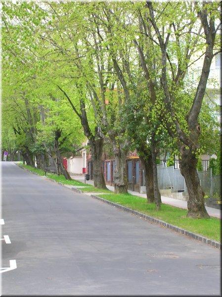 DSCN9806.jpg