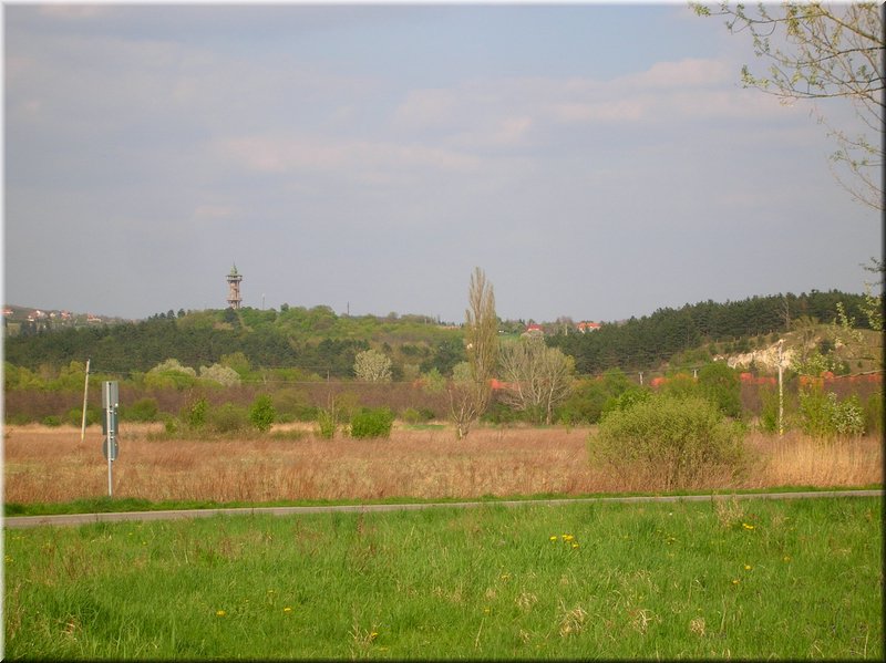 DSCN9811.JPG