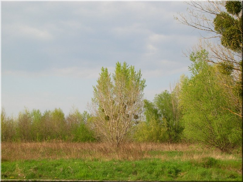 DSCN9815.JPG