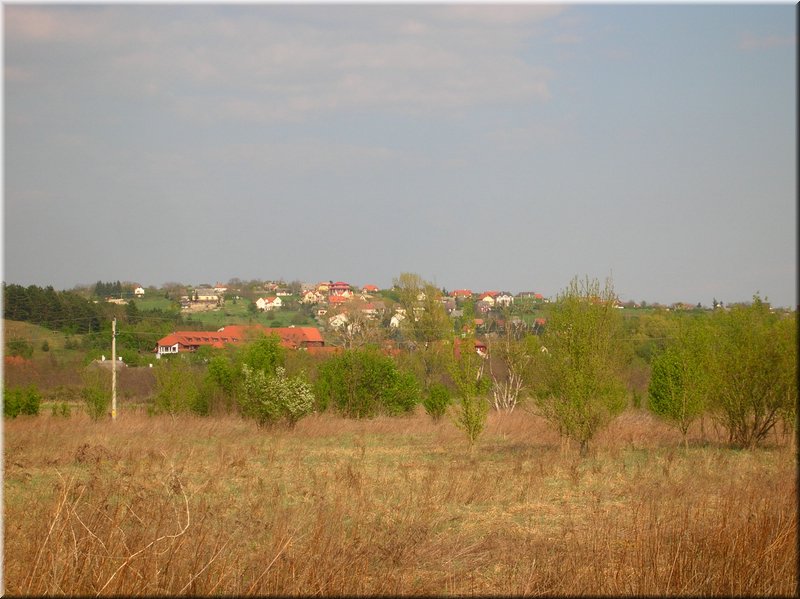 DSCN9816.JPG