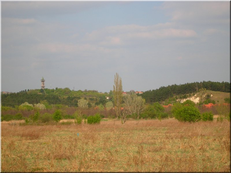 DSCN9817.JPG