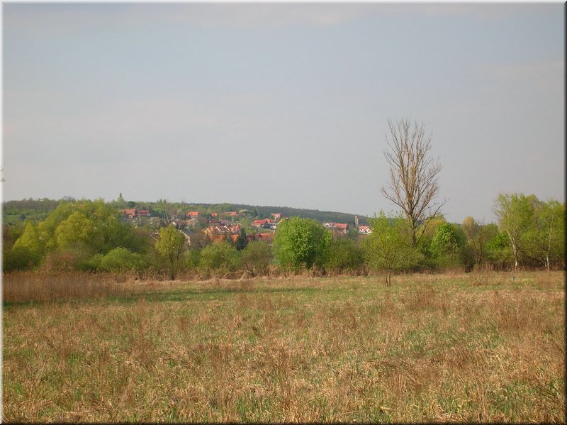 DSCN9818.JPG