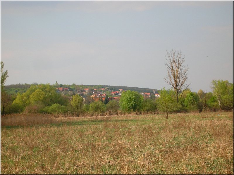 DSCN9819.JPG