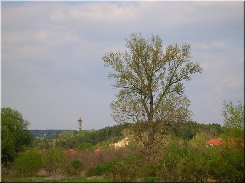 DSCN9824.JPG