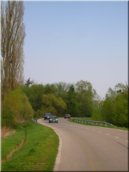 DSCN9825.jpg