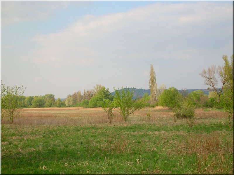 DSCN9826.JPG