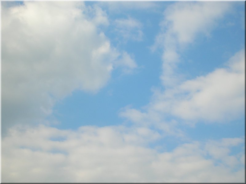 DSCN9827.JPG