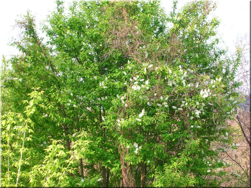 DSCN9830.JPG