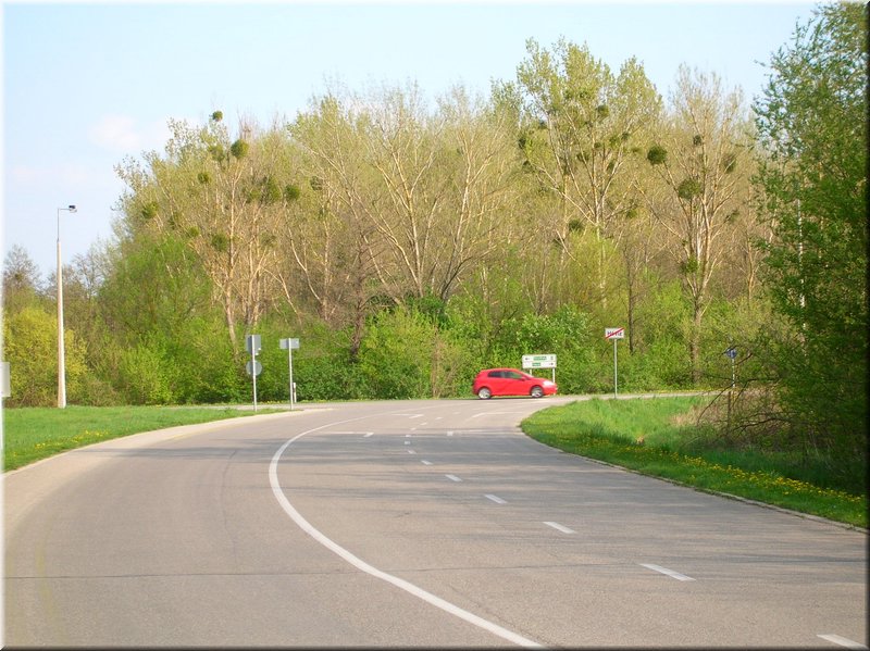 DSCN9833.JPG