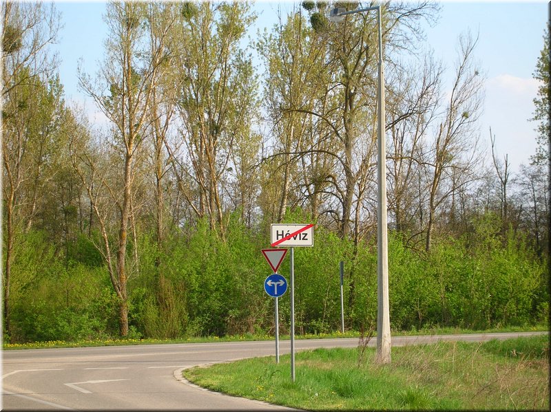 DSCN9834.JPG