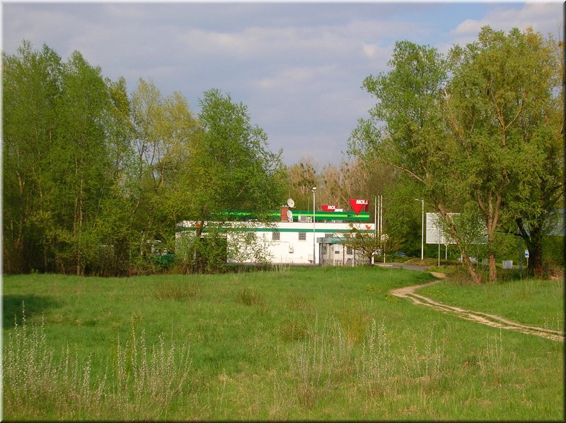 DSCN9835.JPG