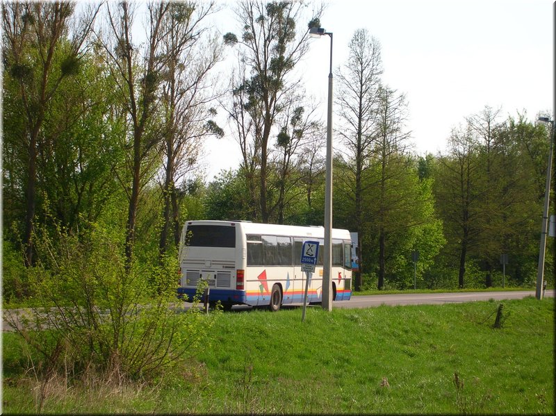 DSCN9837.JPG