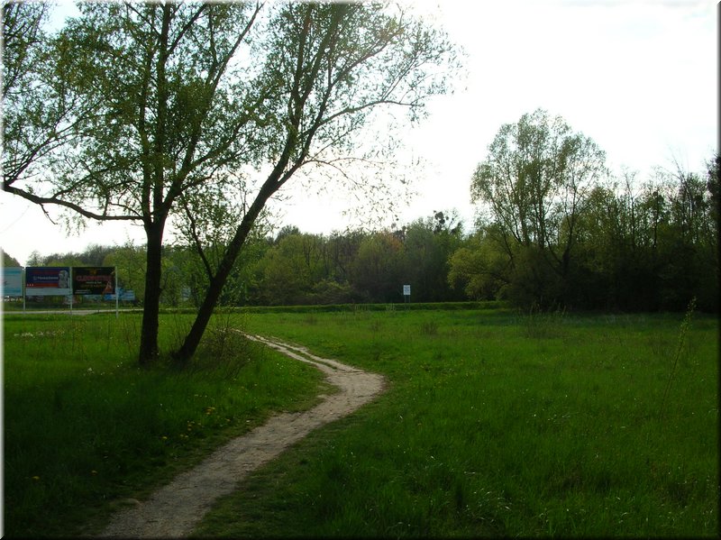 DSCN9839.JPG