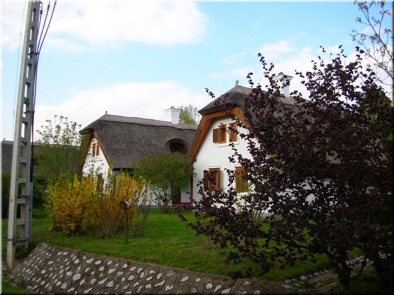 DSCN9847.JPG