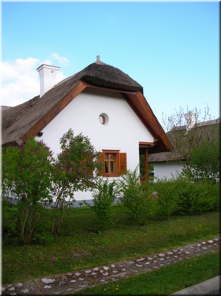 DSCN9850.jpg