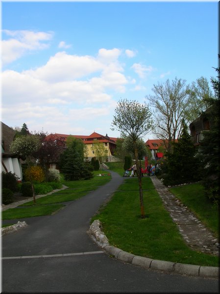 DSCN9851.jpg