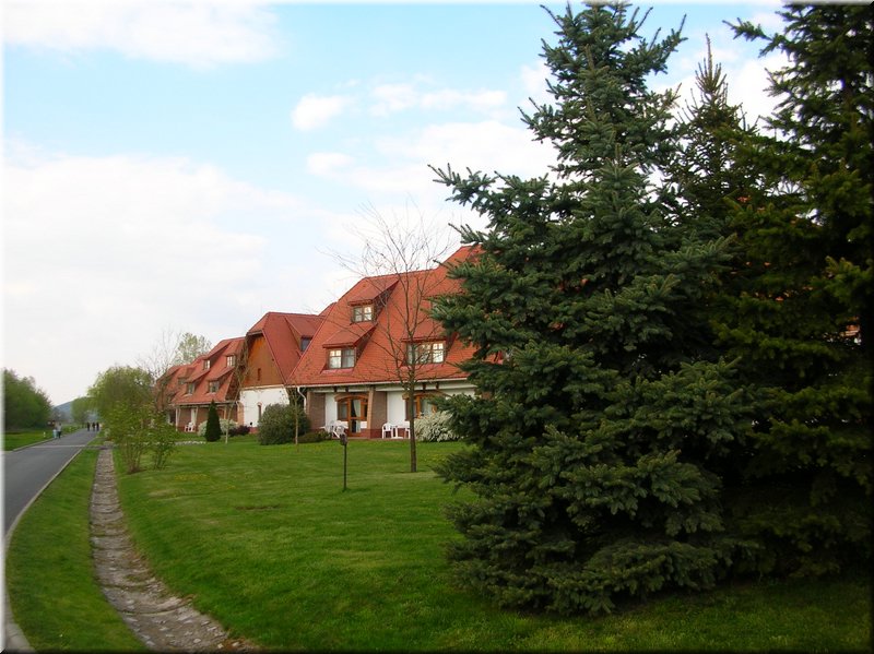 DSCN9853.JPG