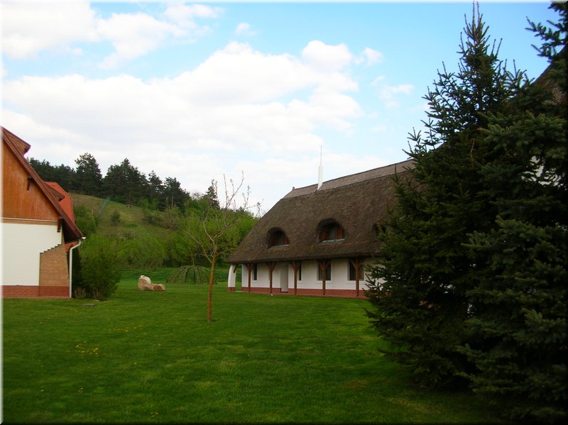 DSCN9854.JPG