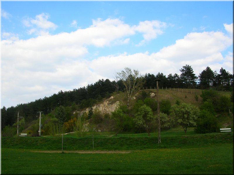 DSCN9856.JPG