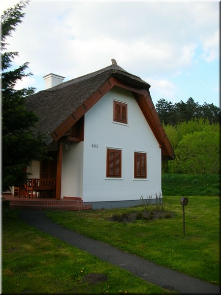 DSCN9869.jpg