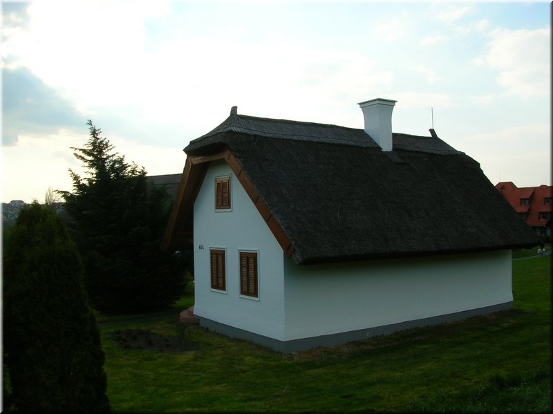 DSCN9873.JPG