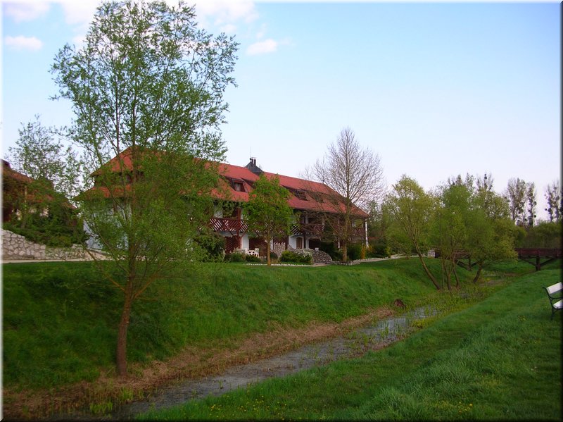 DSCN9877.JPG