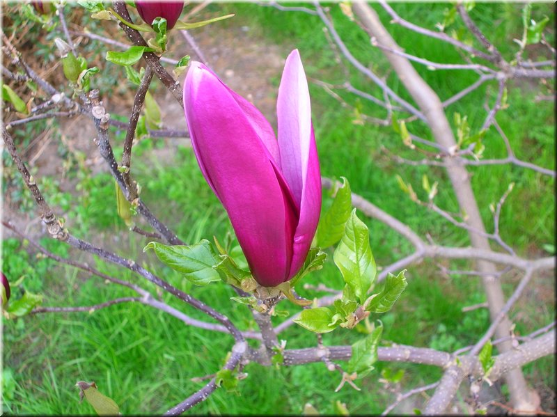 DSCN9893.JPG