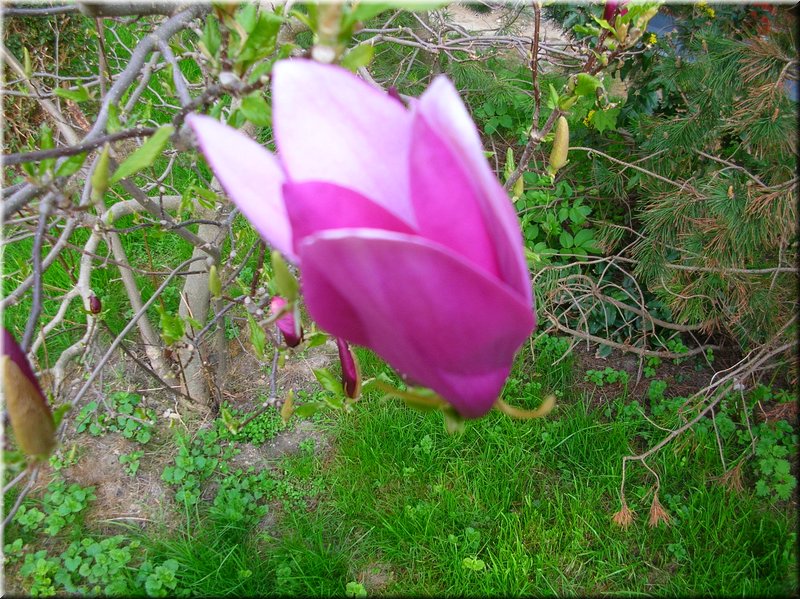 DSCN9896.JPG