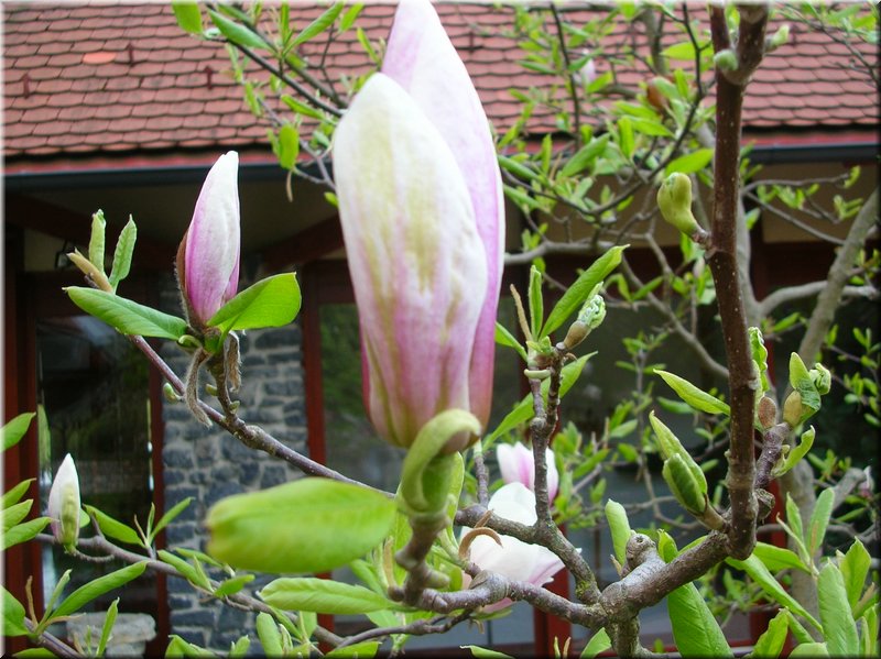 DSCN9897.JPG