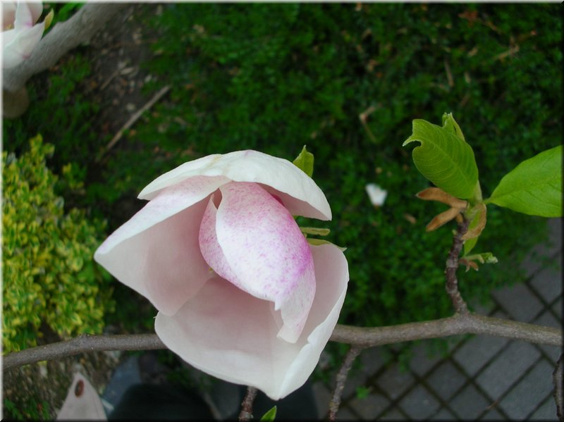 DSCN9899.JPG