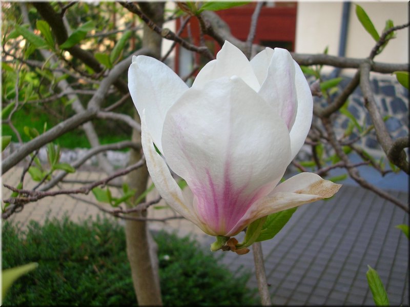 DSCN9901.JPG